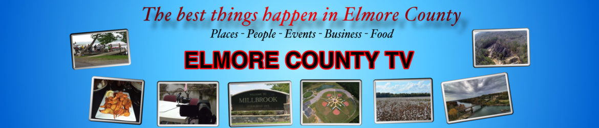 Elmore County TV